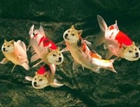 抑椰症患者与正常人的抑郁情绪又有什么区别呢？